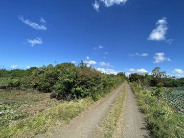 Large plot ideal for cultivation or other project