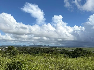 Agricultural Land