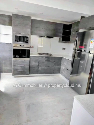Newly built 4 bedroom house with pool in Pereybere