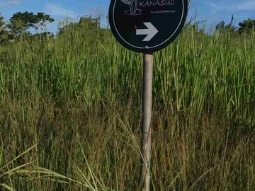 Chemin Vingt Pieds, Grand Baie, Land For Sale