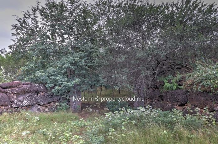 Residential Land in Morcellement Belouguet (3,311 m² / 78 perches)