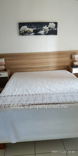 Appartement meublé 3ch/2sdb 90m² à Flic-en-Flac — salon et cuisine équipés