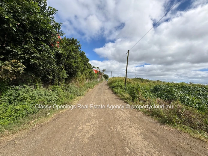 2110 m² Phoenix Commercial Land — Mountain Views, Near Bus & Shops