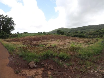 Residential Land