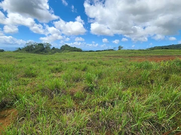 Residential Land