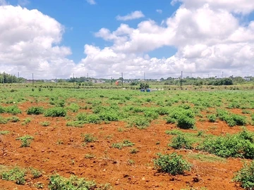 Commercial Land