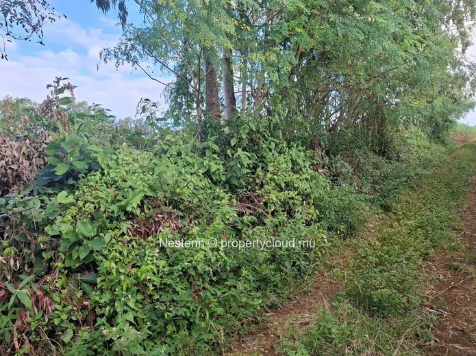 Land of 4965.12 m² 2.8 kms from main road.