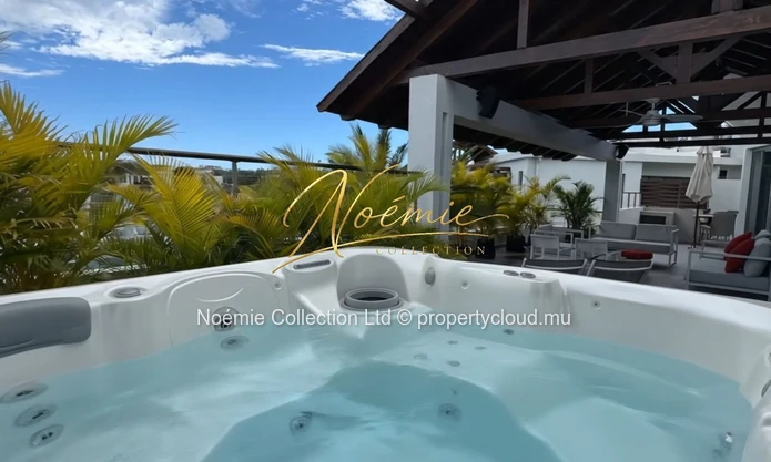 A vendre Penthouse D'exception à Choisy Les Bains -avec Jacuzzi Privatif