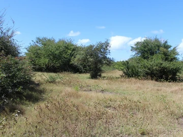 FOR SALE - Wonderful freehold land of 1 acre 12 near the beach of Bain Boeuf
