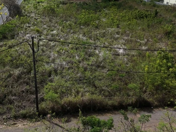 Residential Land