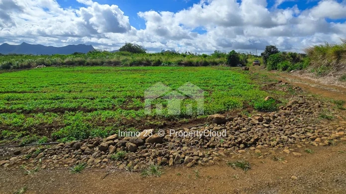Terrain agricole - 8442m2 - Phoenix - Ref. TE94305VE