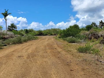 Agricultural Land