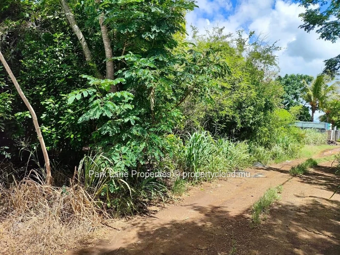À vendre – Terrain résidentiel de 4 206 m² à Petit Raffray