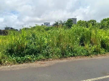 Commercial Land