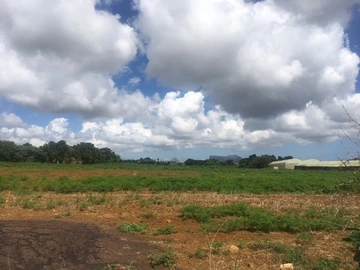 Agricultural Land