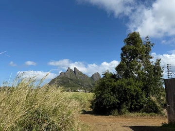 Agricultural Land