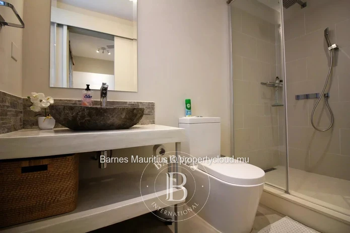 POINTE D'ESNY - Contemporary Apartment - 3 Bedrooms