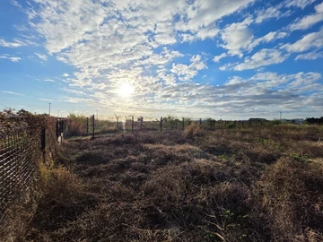 Residential Land