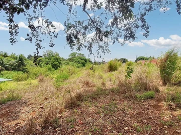Agricultural Land