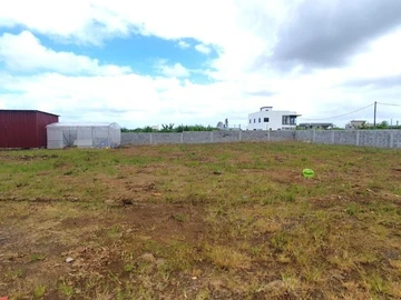 Agricultural Land