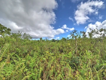 Agricultural Land