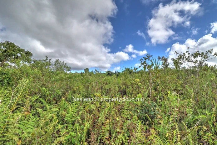 Terrain agricole de 2113m2