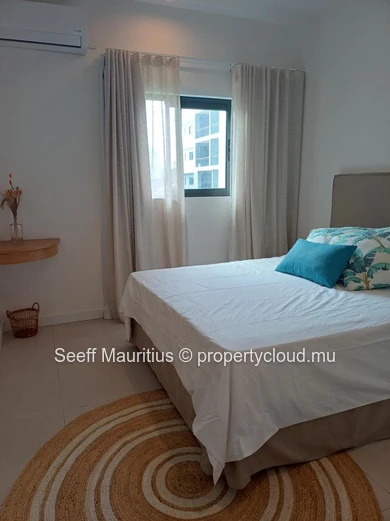Beau Plan Smart City : Le Petit Studio qui a Tout d'un Grand !