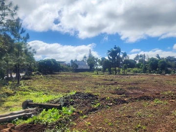 Residential Land