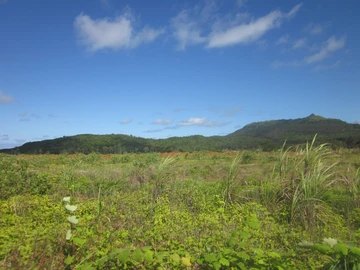Residential Land