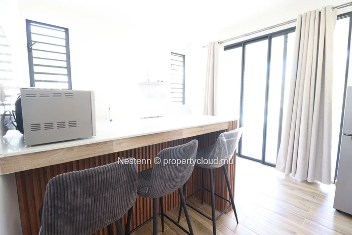 Modern Studio