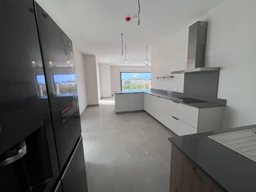 3 Bedroom Penthouse