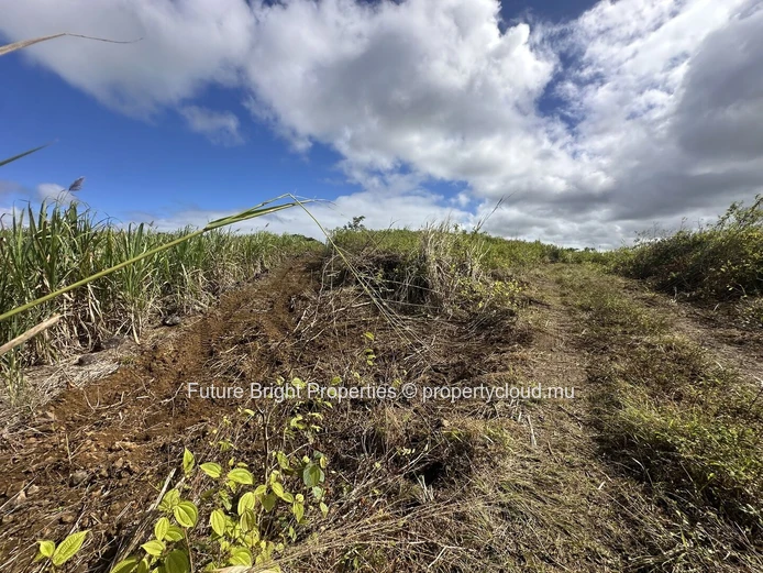 206 perches Agricultural Land for Sale in Providence Quartier Militaire.