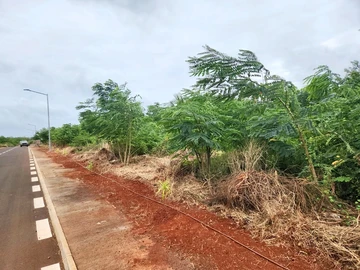 Commercial Land