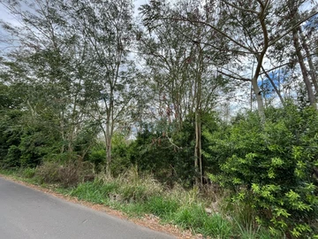 Commercial Land