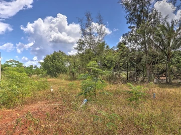 Residential Land