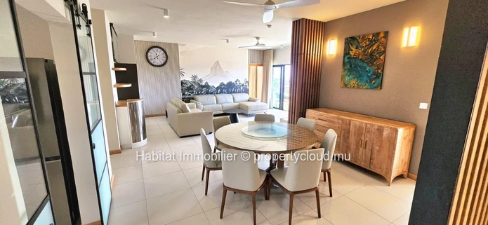Magnifique penthouse situé à la frontière entre Sodnac et Phoenix 