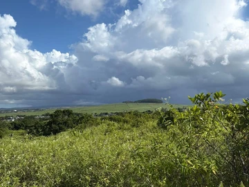 Agricultural Land
