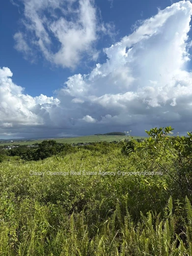 Terrain agricole 3,63 ha à Espérance — Sentier et vue montagne