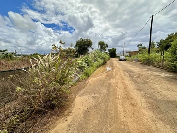 Agricultural Land