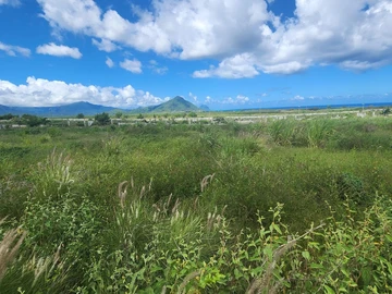 Residential Land