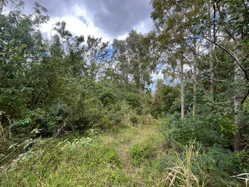 Agricultural Land