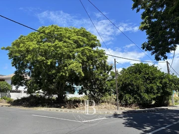 Commercial Land