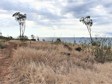 Residential Land