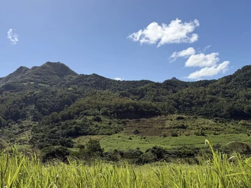 Agricultural Land