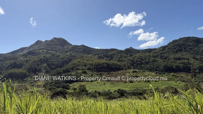 Terrain de 12 580 m² avec vue sur la montagne à vendre à Anse Jonchée, île Maurice | Opportunité éco-responsable et a...