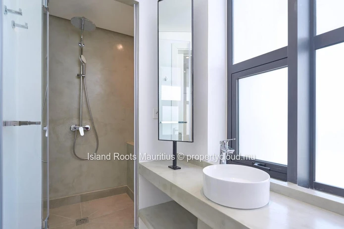 Beautiful Duplex for Sale - Pointes aux Canonniers!