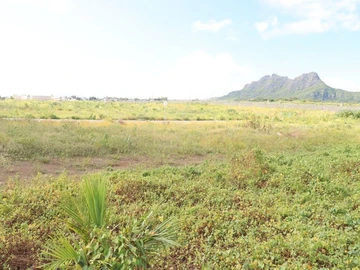 Residential Land