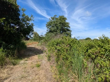 Residential Land