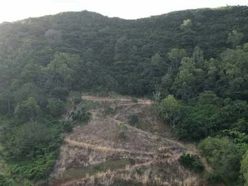Terrain Agricole