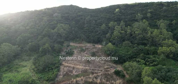 Terrain de 5 arpents en toute propriété 